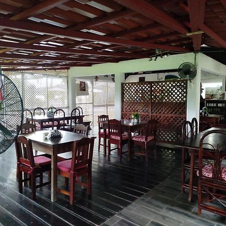Hotel Pez Gallo 戈尔菲托 外观 照片