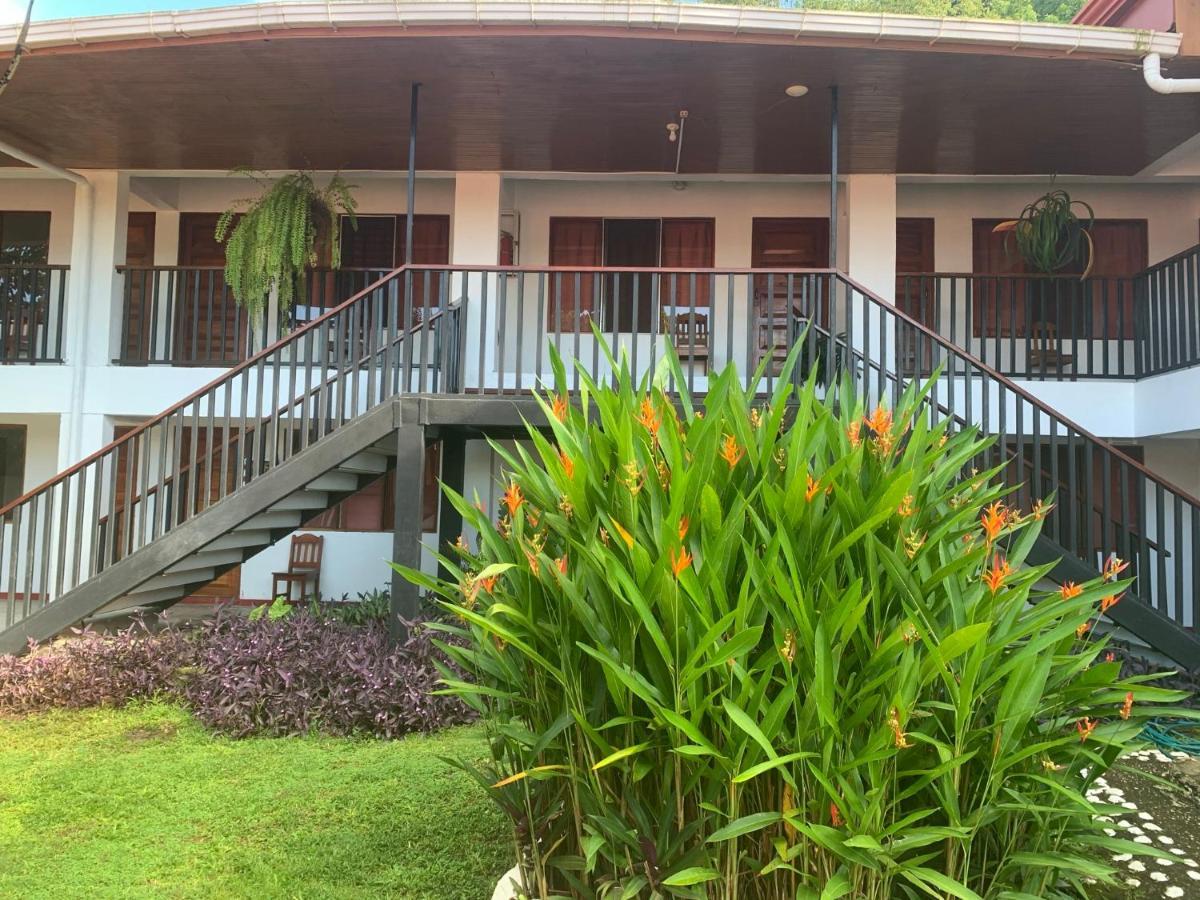 Hotel Pez Gallo 戈尔菲托 外观 照片
